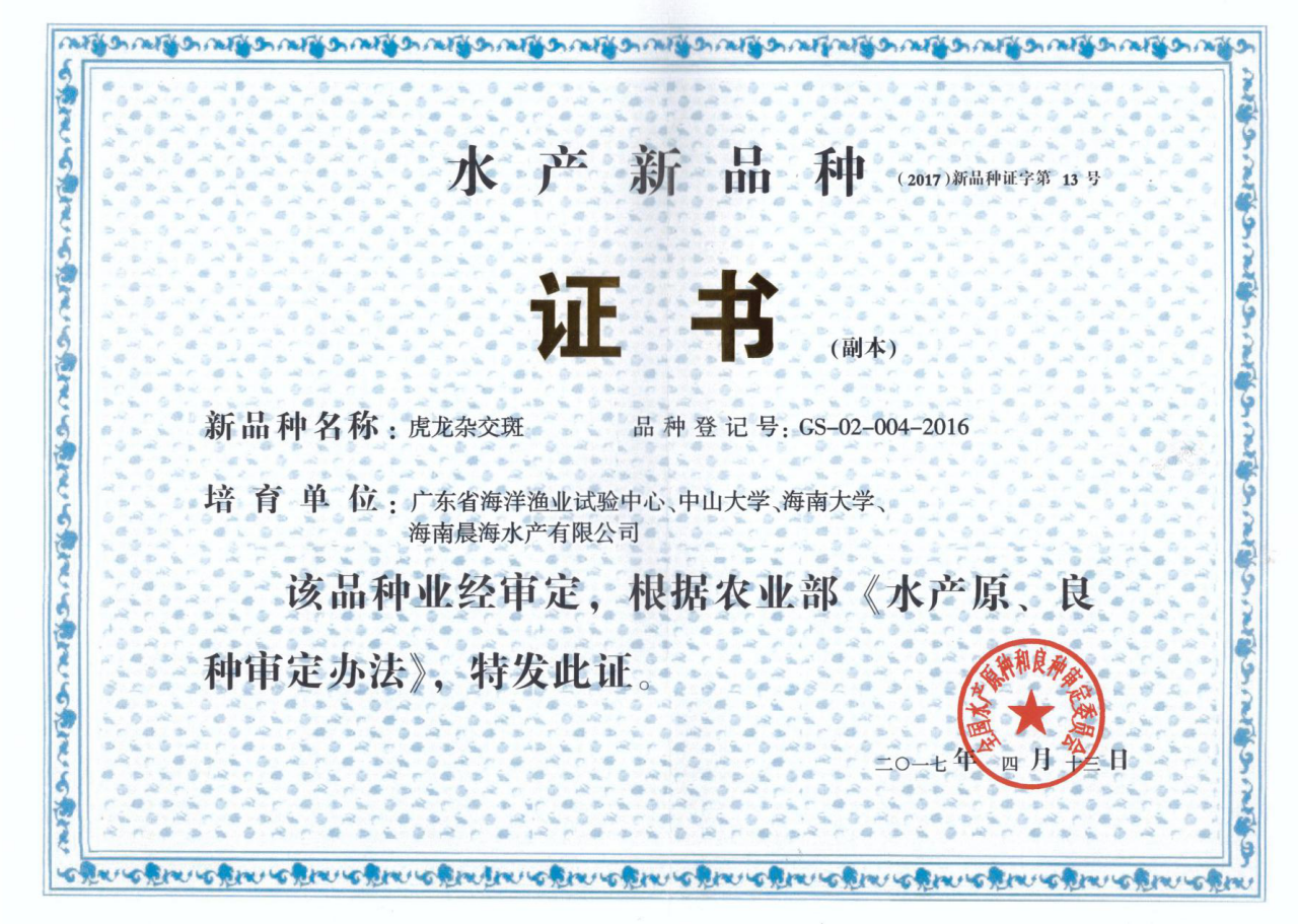 厲害了，我的“虎龍雜交斑”