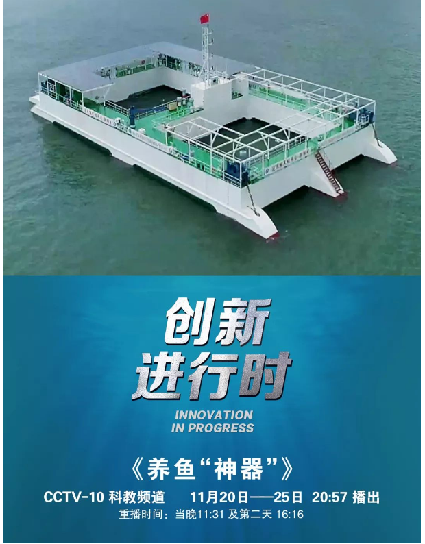 風再猛、浪再大，都攔不住我養(yǎng)魚的雄心！