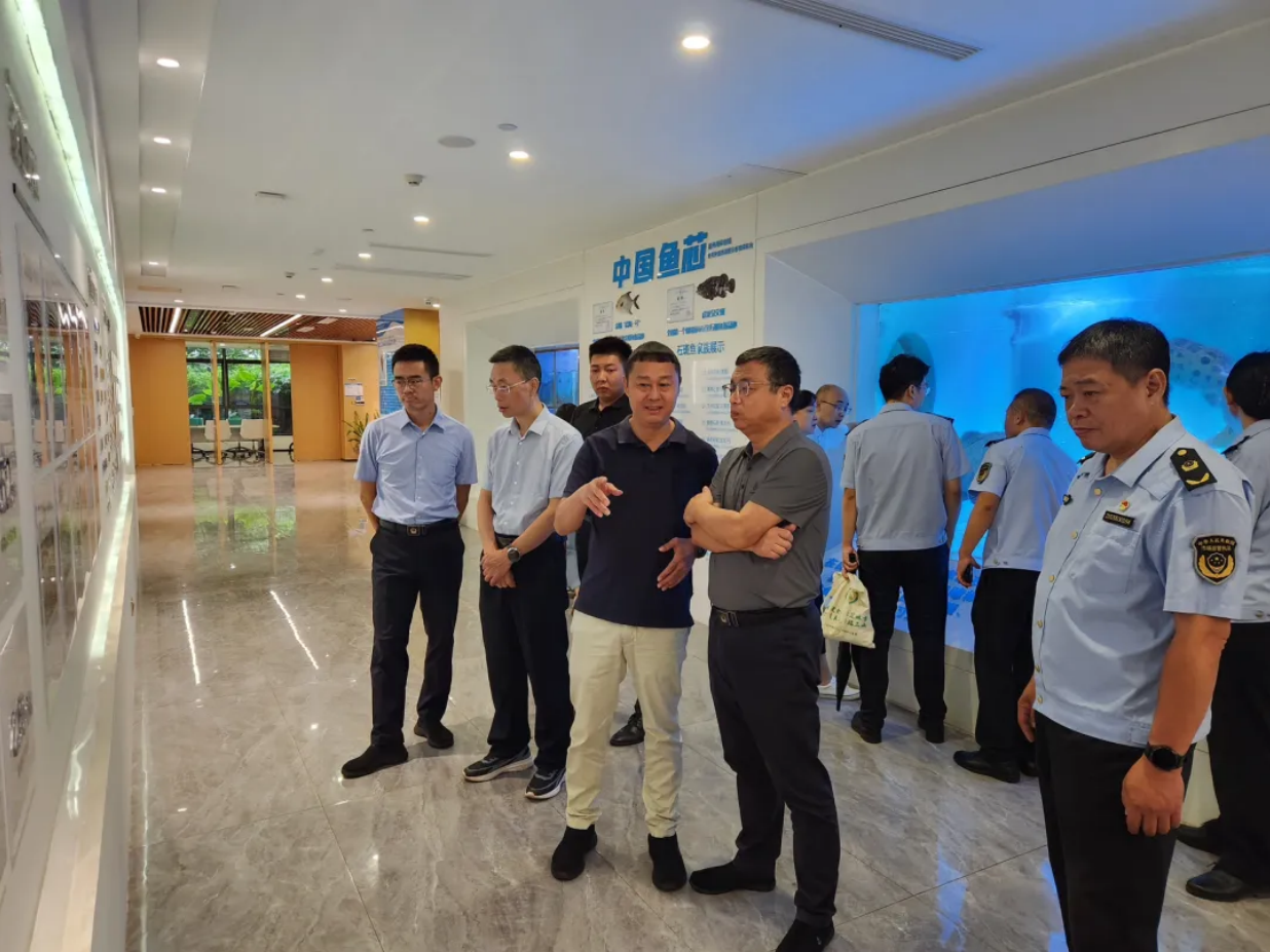 省市場監(jiān)管局、省知識產(chǎn)權(quán)局黨組書記、局長鐵剛到晨海開展知識產(chǎn)權(quán)工作調(diào)研